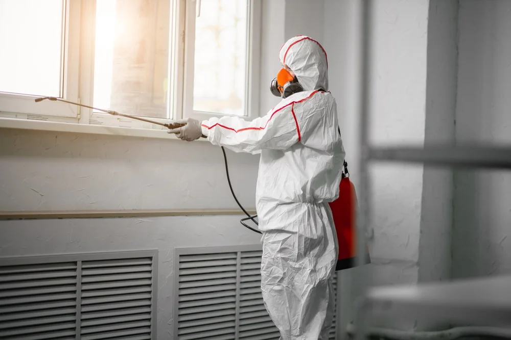 Professional mold remediation services in Etoile, KY